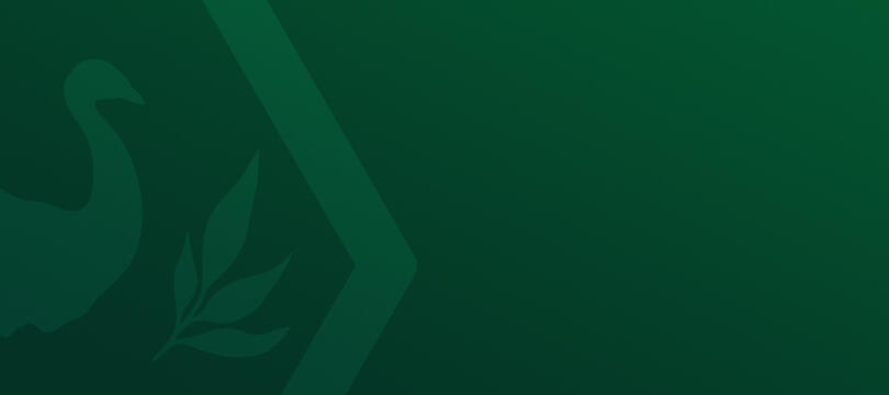 About the Carbon Project (SCEA)